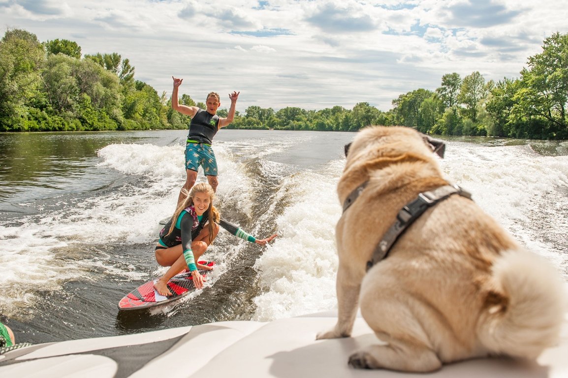 Вейксерфинг — молодой и динамично развивающийся водный вид спорта, который дает возможность серфить прямо в городе, на реке