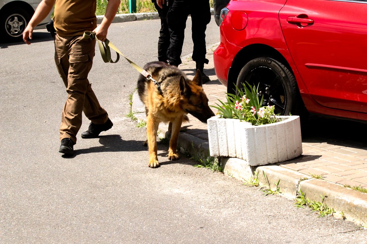 Сейчас на месте трагедии работает следственно-оперативная группа и выясняет обстоятельства происшествия Сейчас на месте трагедии работает следственно-оперативная группа и выясняет обстоятельства происшествия