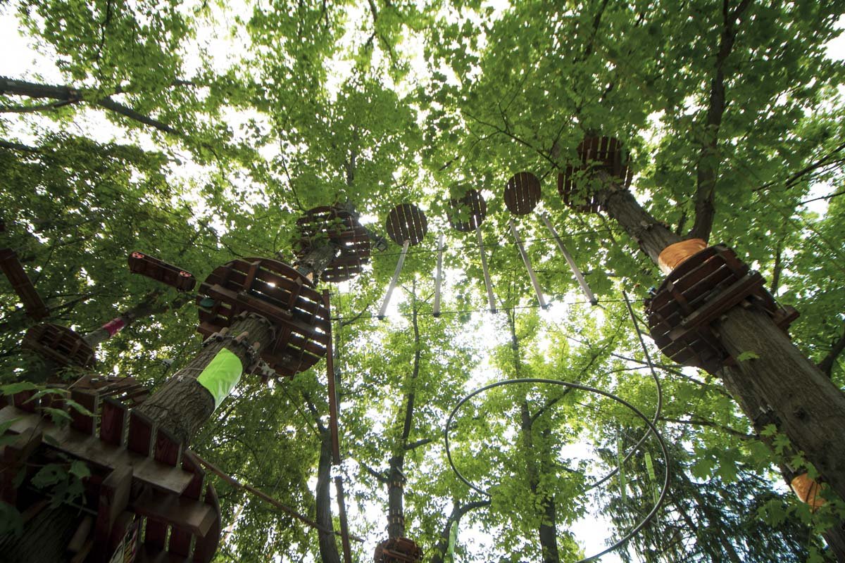 Здесь есть несколько трасс разной сложности и для малышей, и для взрослых 