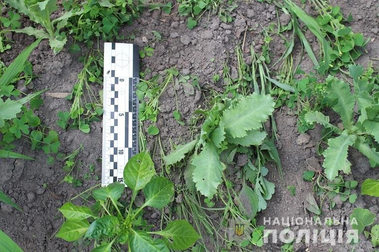 Мужчине грозит до трех лет лишения свободы 