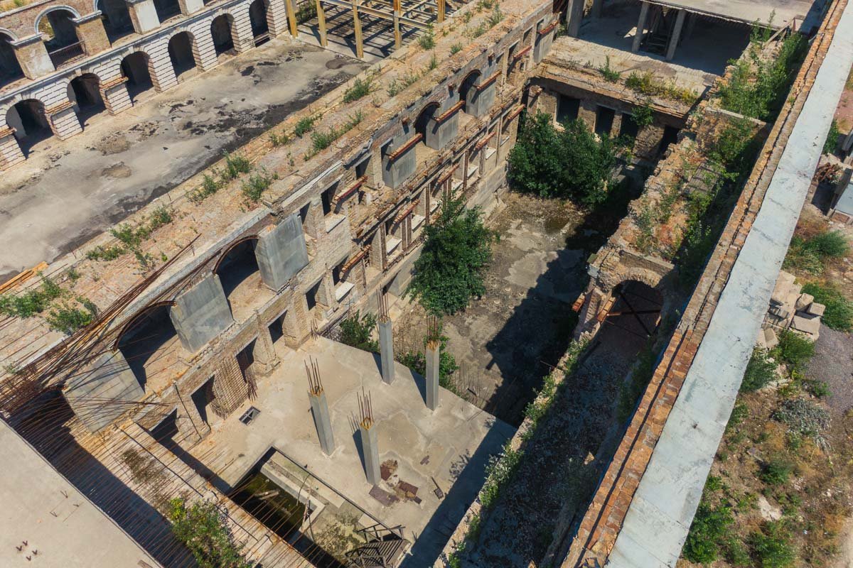 Природа постепенно берет свое 