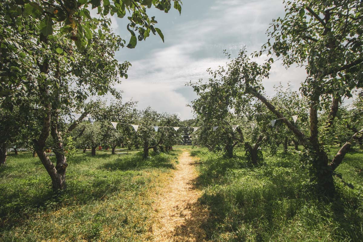 Среди яблонь на ВДНГ разместилась современная insta-зона — настоящий рай для любителей стильных фото Среди яблонь на ВДНГ разместилась современная insta-зона — настоящий рай для любителей стильных фото