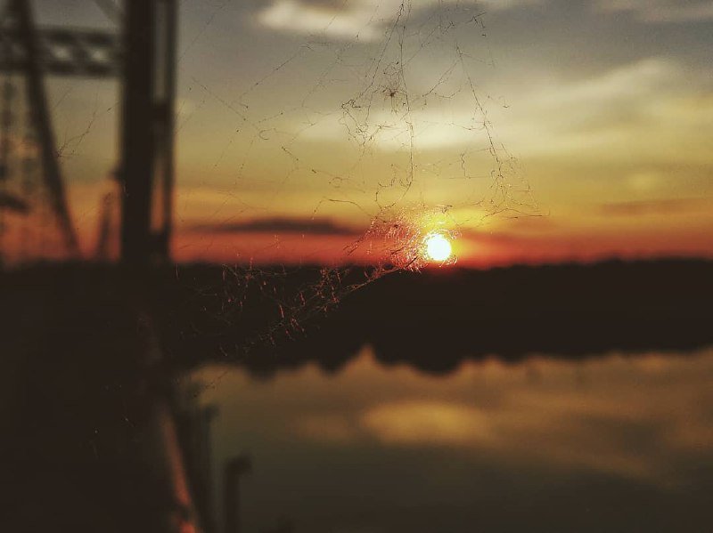 Мы запомним этот июнь солнечным. Фото: @better.photographer Мы запомним этот июнь солнечным. Фото: @better.photographer