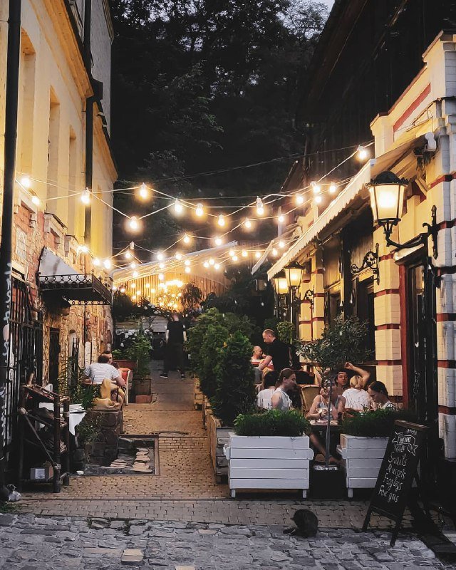 Маленькие фонарики ночью "работают", пока солнышко отдыхает. Фото: @yle33 Маленькие фонарики ночью "работают", пока солнышко отдыхает. Фото: @yle33