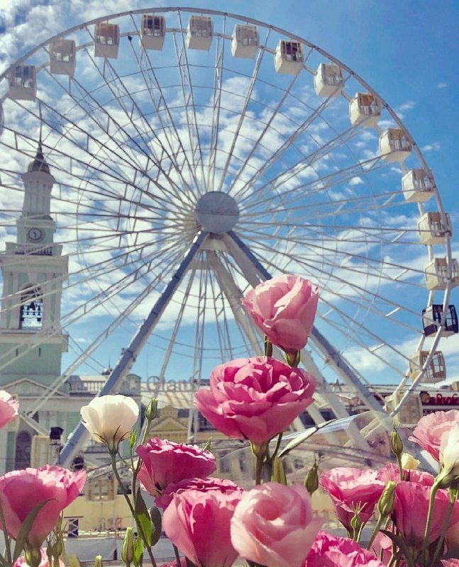 Не бывает плохого фото, на котором есть цветы. Фото: @insta_kiev_ua Не бывает плохого фото, на котором есть цветы. Фото: @insta_kiev_ua