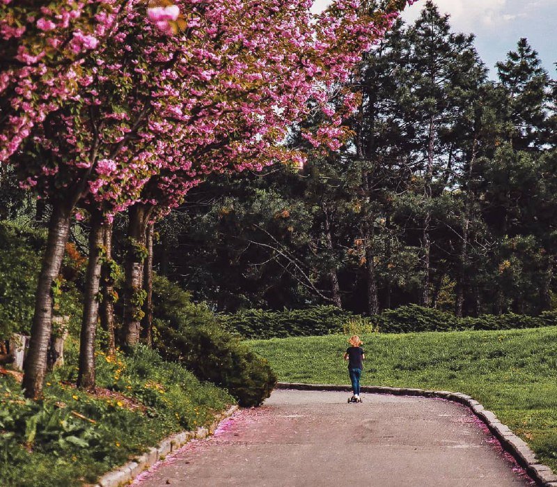 Цветочное детство. Фото: @alexander_knyaz Цветочное детство. Фото: @alexander_knyaz