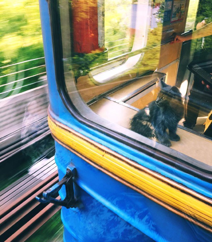 Вас что-то смущает? Я на солнышко тоже хочу посмотреть Вас что-то смущает? Я на солнышко тоже хочу посмотреть