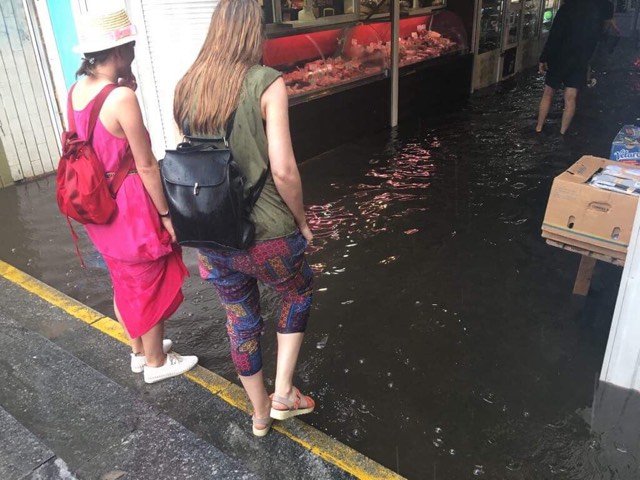 На Киев обрушился шторм: что происходит в столице в условиях непогоды. Хроника 4