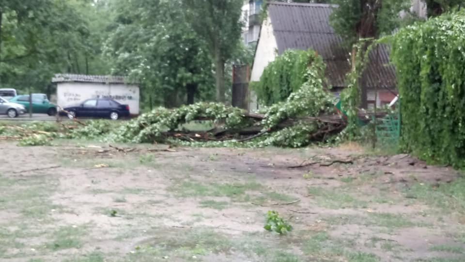 На Киев обрушился шторм: что происходит в столице в условиях непогоды. Хроника 15