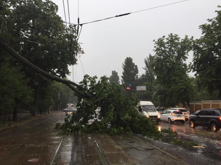 На Киев обрушился шторм: что происходит в столице в условиях непогоды. Хроника 19