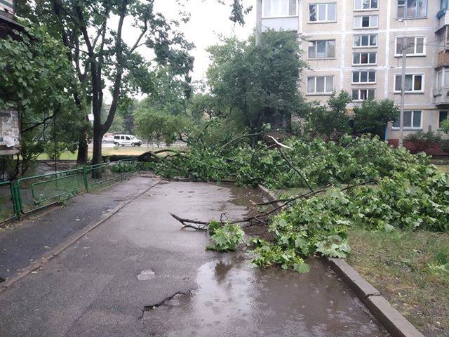 На Киев обрушился шторм: что происходит в столице в условиях непогоды. Хроника 23