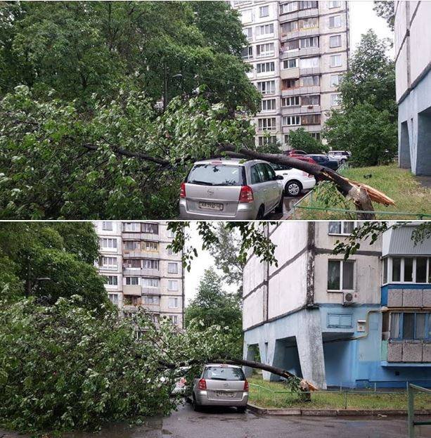 На Киев обрушился шторм: что происходит в столице в условиях непогоды. Хроника 26