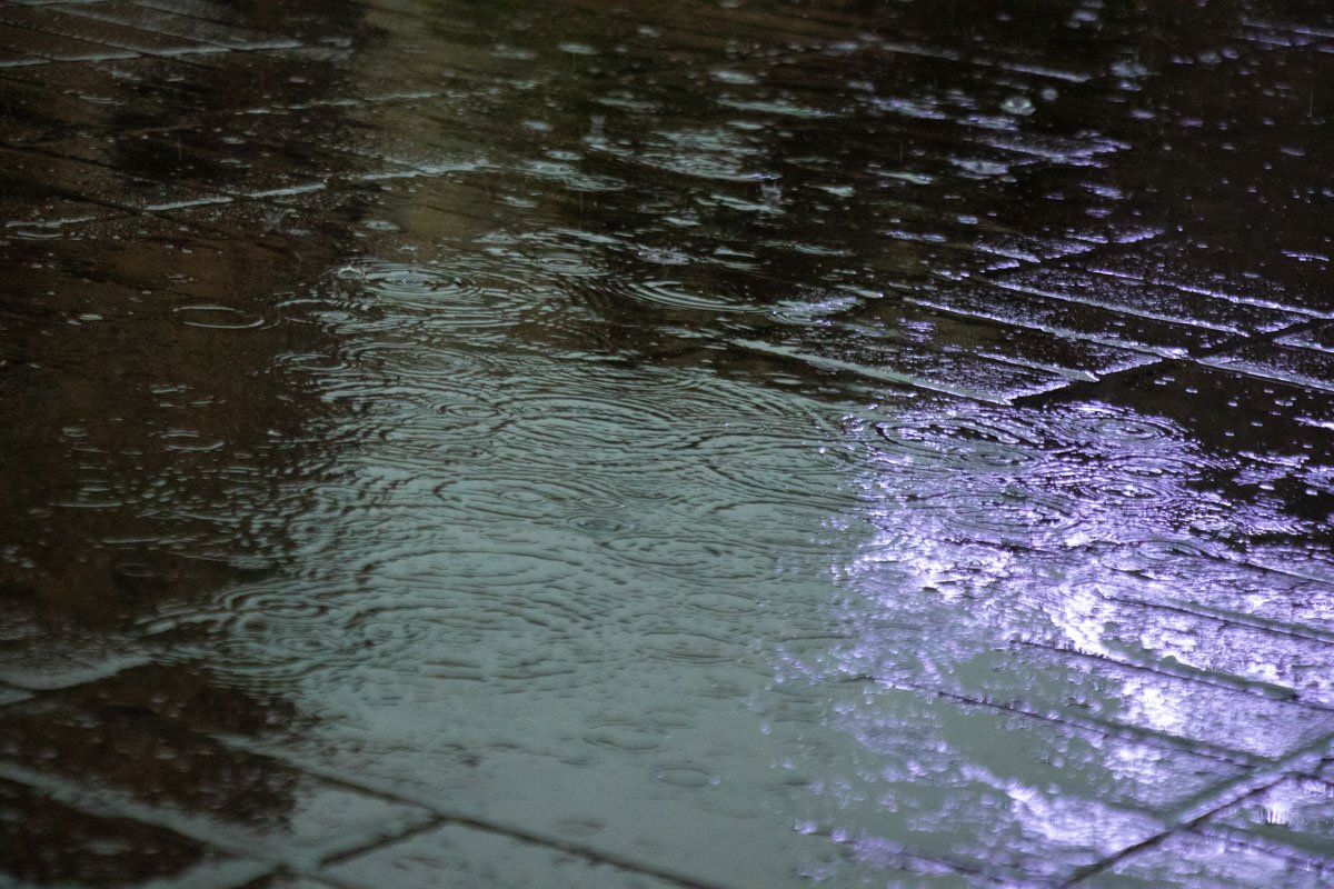 Дождь - это прекрасно! Особенно после невыносимой жары