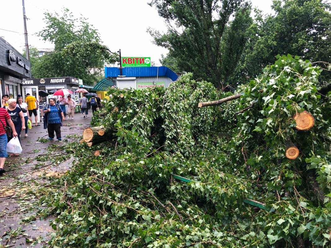 В Киеве на пожилую женщину упало дерево