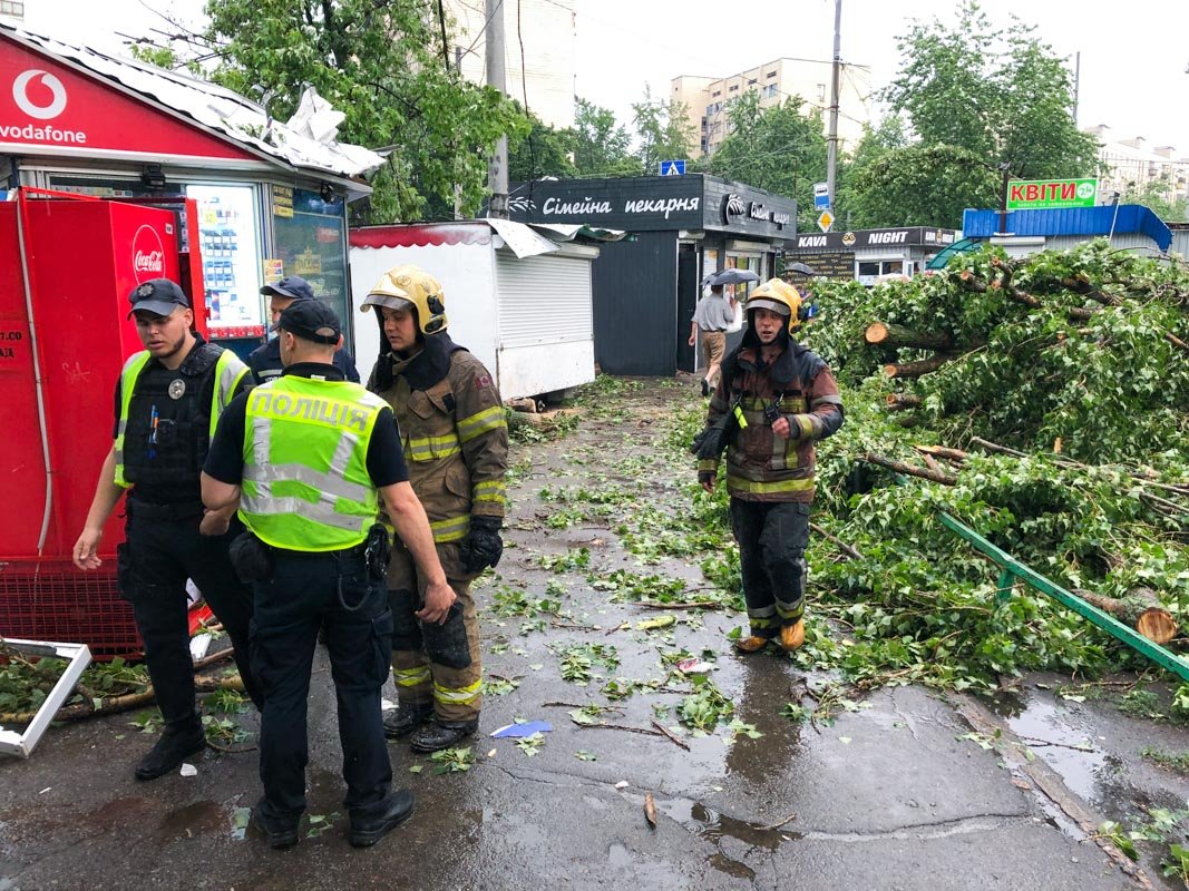 Спасатели оперативно разрезали дерево и освободили проход