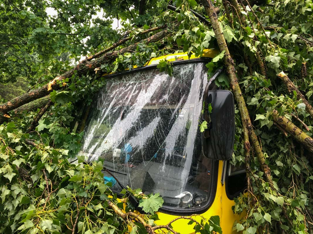 27 июня, в Киеве по адресу улиц Николая Матеюка, 15 сильный ветер непогоды повалил дерево