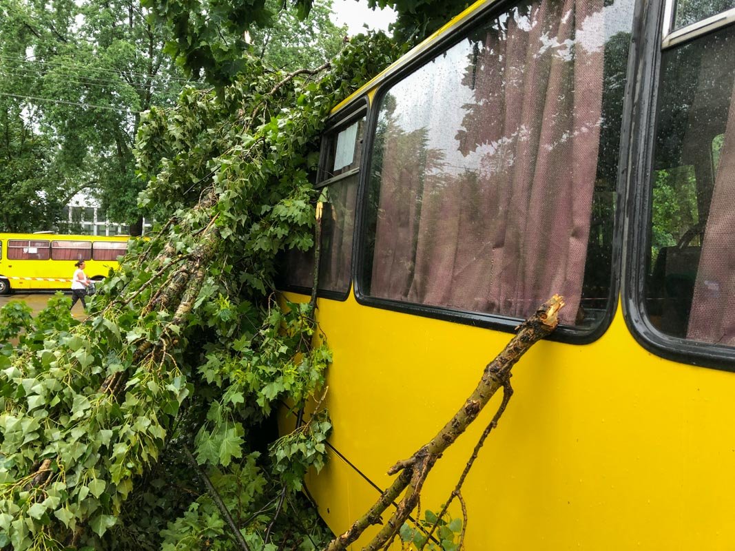 К счастью, обошлось без пострадавших