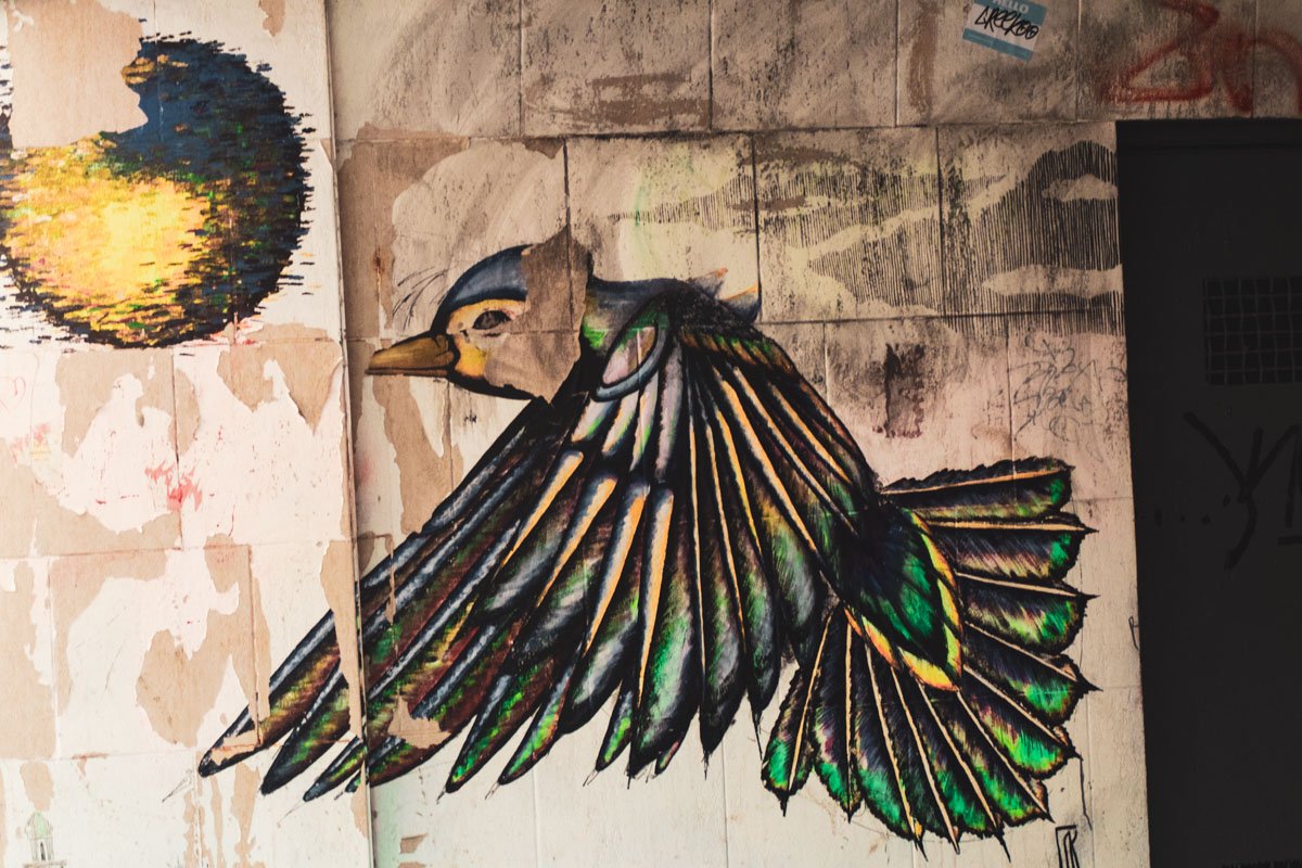 Полет мыслей автора