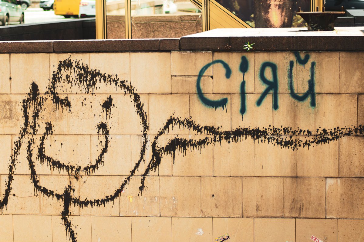 Каждый день и все ярче