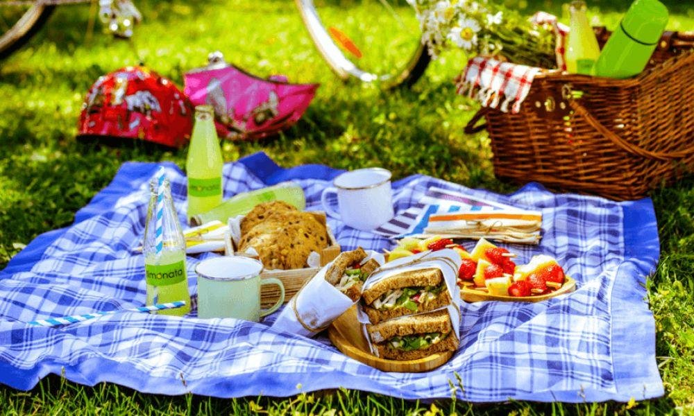 На Певческом поле можно будет провести время в компании друзей, наслаждаясь пикником На Певческом поле можно будет провести время в компании друзей, наслаждаясь пикником