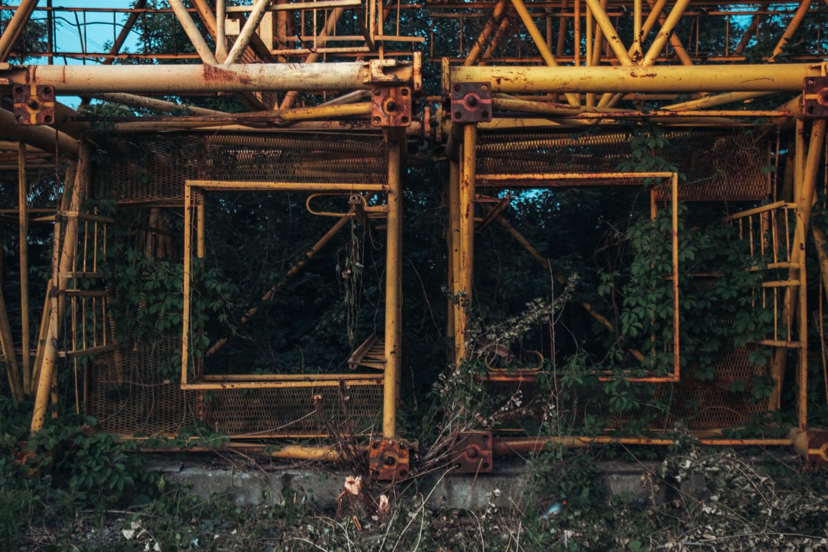 Природа отвоевывает свое у цивилизации Природа отвоевывает свое у цивилизации