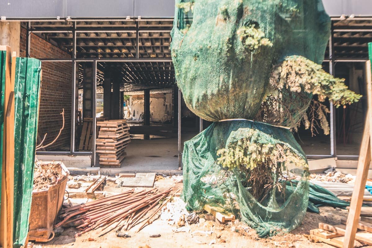 Елки бережно спрятали от строительной пыли Елки бережно спрятали от строительной пыли