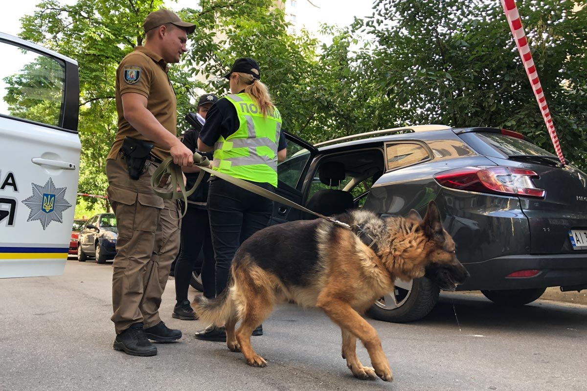 Также прибыли кинологи с собаками