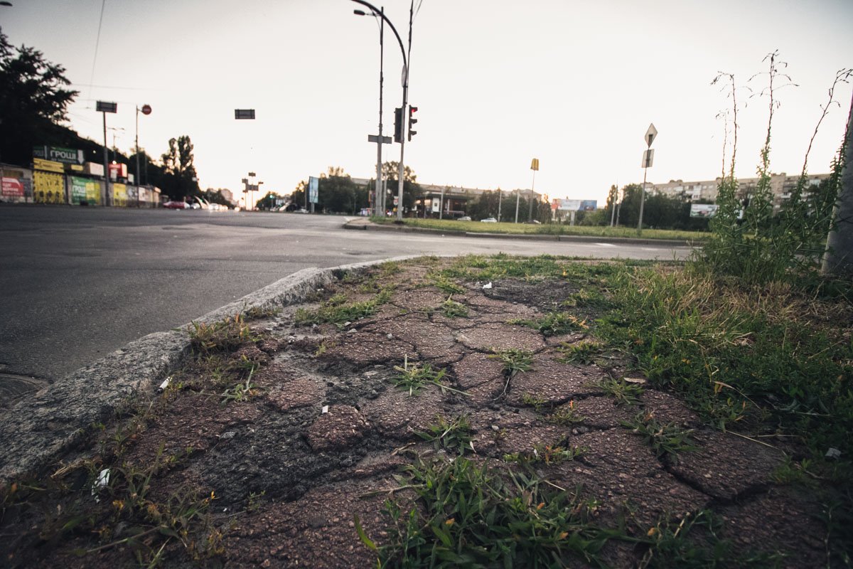 Старый асфальт начинает поддаваться природе Старый асфальт начинает поддаваться природе
