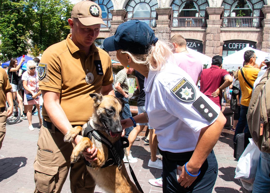 Эти милые собаки могут найти взрывчатку или пропавшего человека Эти милые собаки могут найти взрывчатку или пропавшего человека