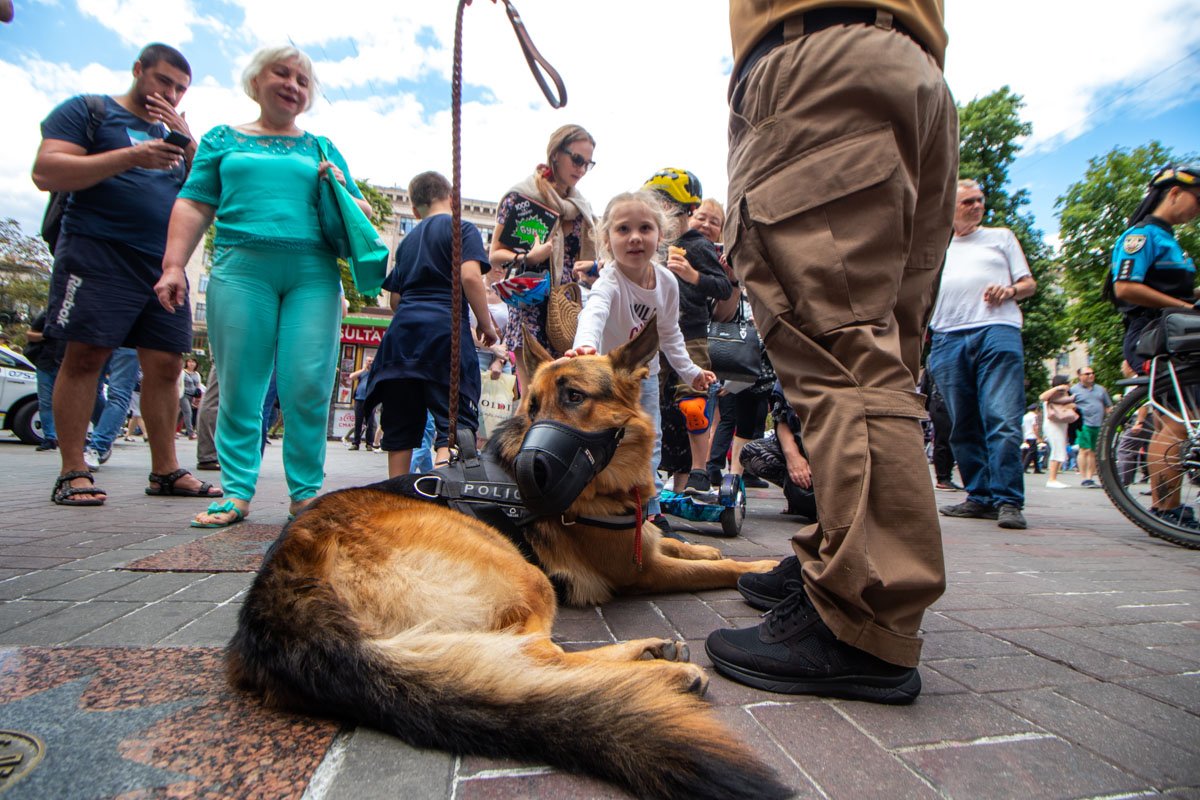Настоящие защитники Настоящие защитники