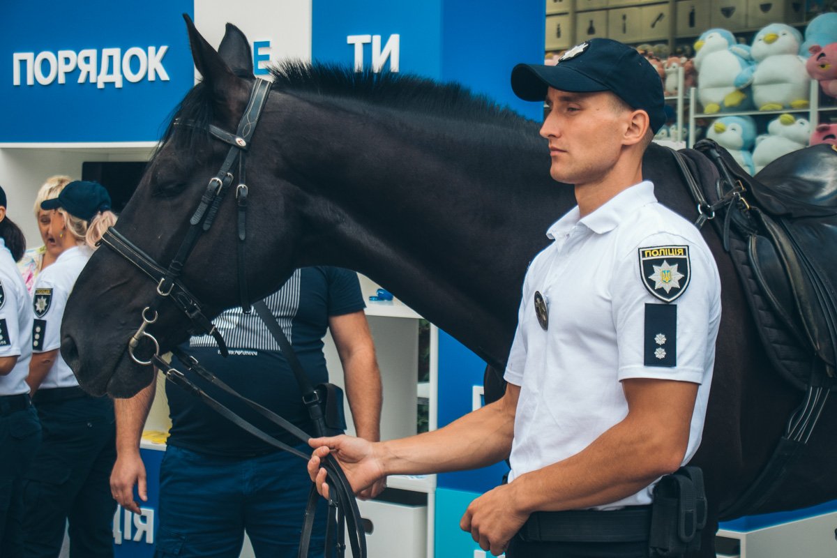 Суровый и всегда сконцентрированный взгляд Суровый и всегда сконцентрированный взгляд