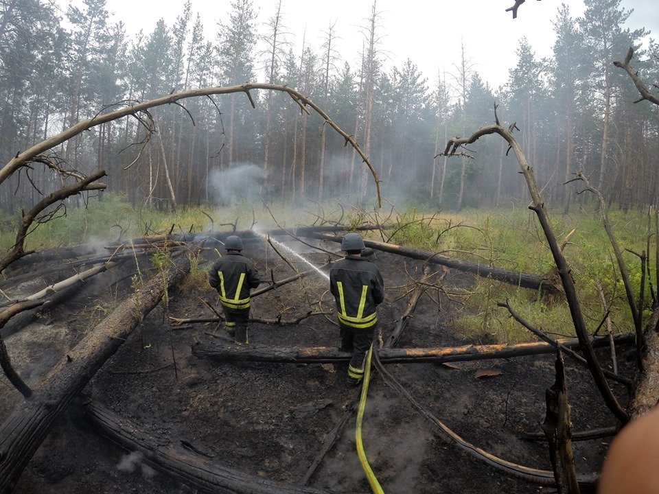 Спасатели долго не могли приступить к работе из-за мин в лесу