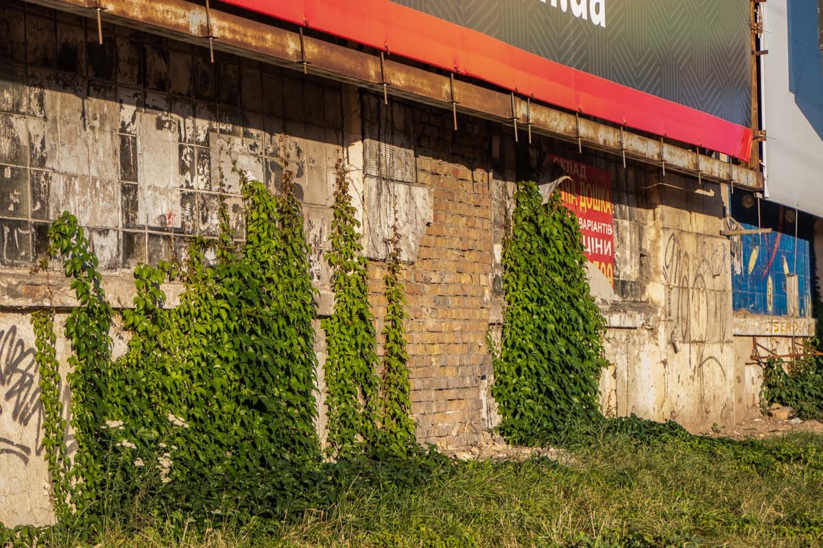 При этом пятый цех "Большевика" стоит неподвижно, как и стоял