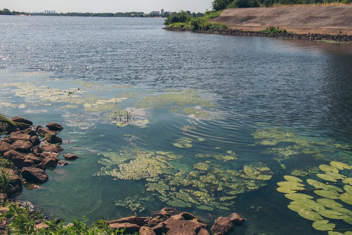 В этом месте ежедневно забирают около 200 кубических метров воды из Днепра