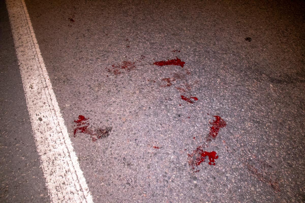 Детали и виновника происшествия установит следствие Детали и виновника происшествия установит следствие