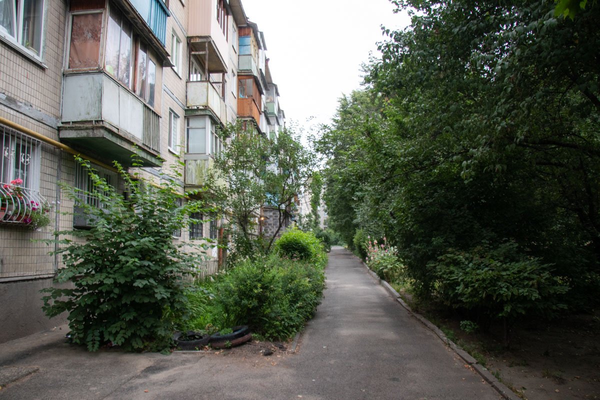 Двор, в котором произошла стрельба Двор, в котором произошла стрельба