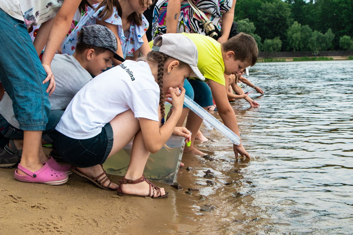 В воскресенье, 7 июля, в Украине отмечают День Днепра
