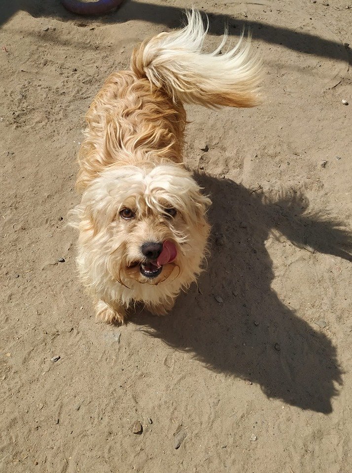 Знакомьтесь, это прелестнейшее создание - Малыш