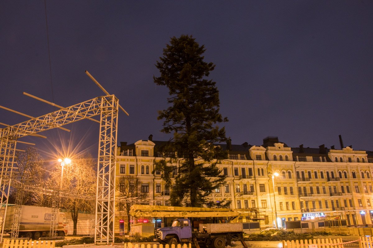 Сторона, которая "смотрит" на Софию, выглядит редкой Сторона, которая "смотрит" на Софию, выглядит редкой