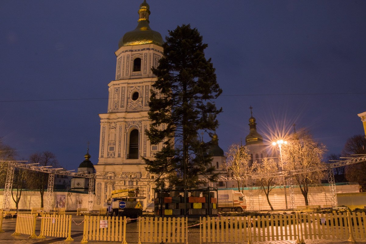 Пока елка не оправдала ожиданий киевлян Пока елка не оправдала ожиданий киевлян