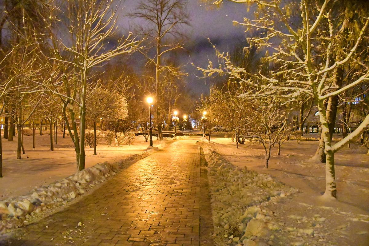 Полночь в парке Шевченко