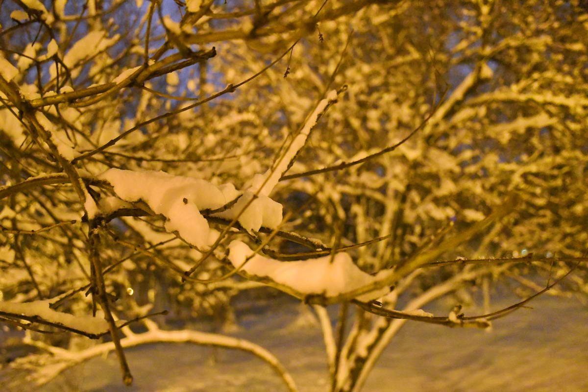 Зимняя икебана