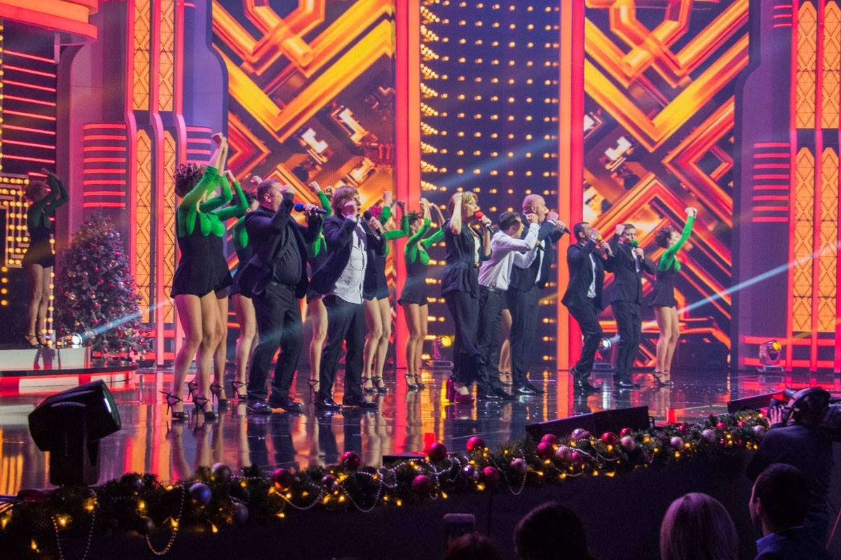 Квартал показал стиль наступающего года - собачки 