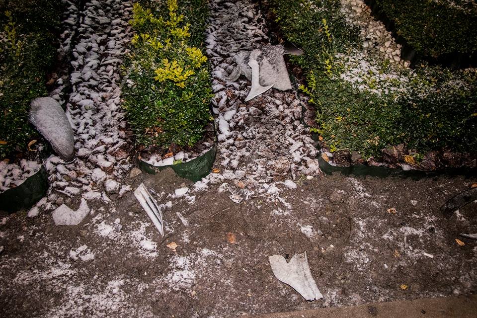 Части автомобиля разбросаны по клумбе 