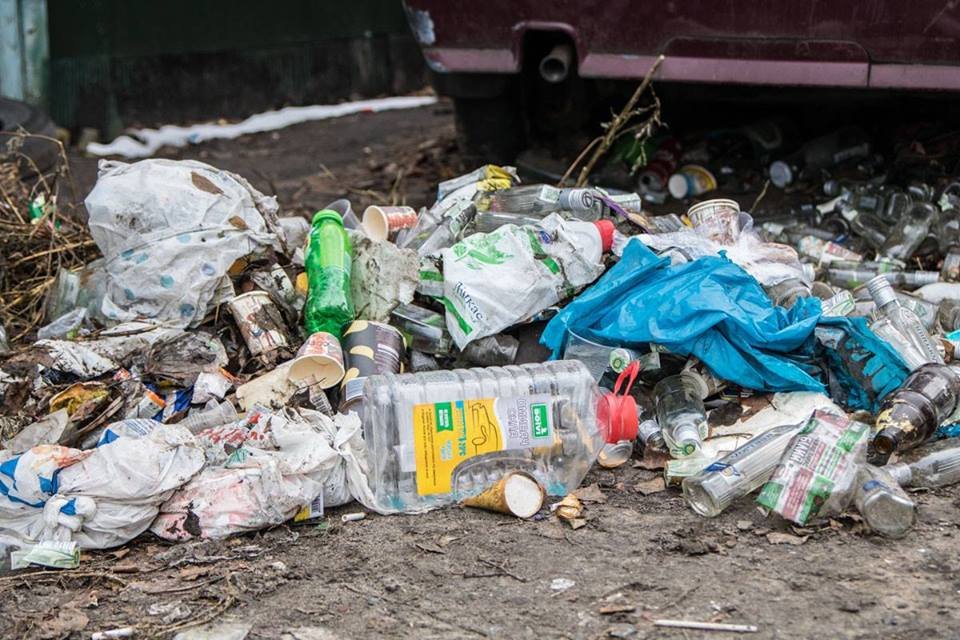 Изображение хорька находится прямо возле горы мусора