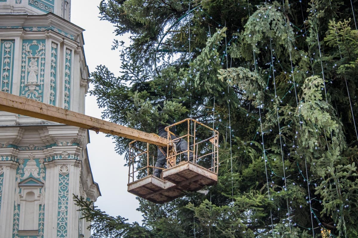 На главной елке страны появилась первая гирлянда