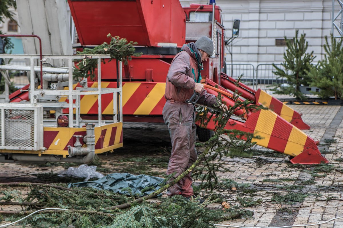Продолжаются работы по обрубке веток на елке