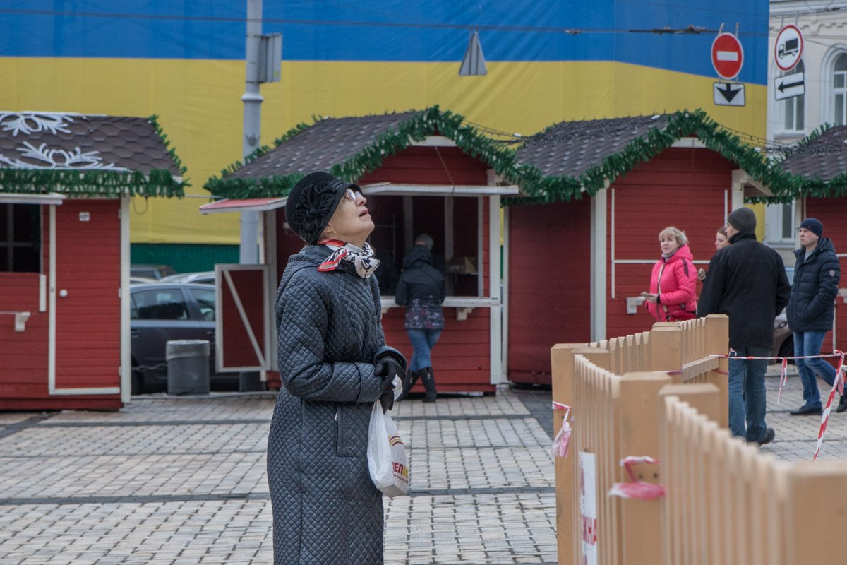 В этом году в центре города будет стоять 100-летняя елка