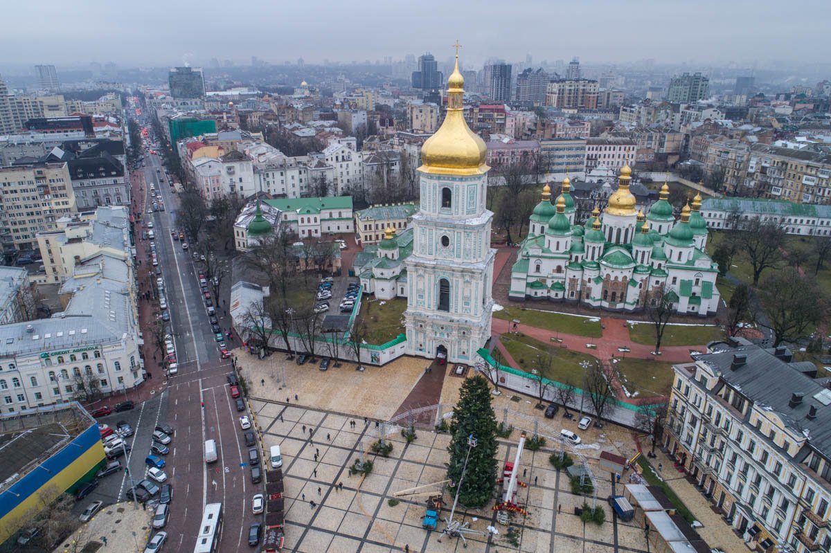 Вид на елку с высоты птичьего полета