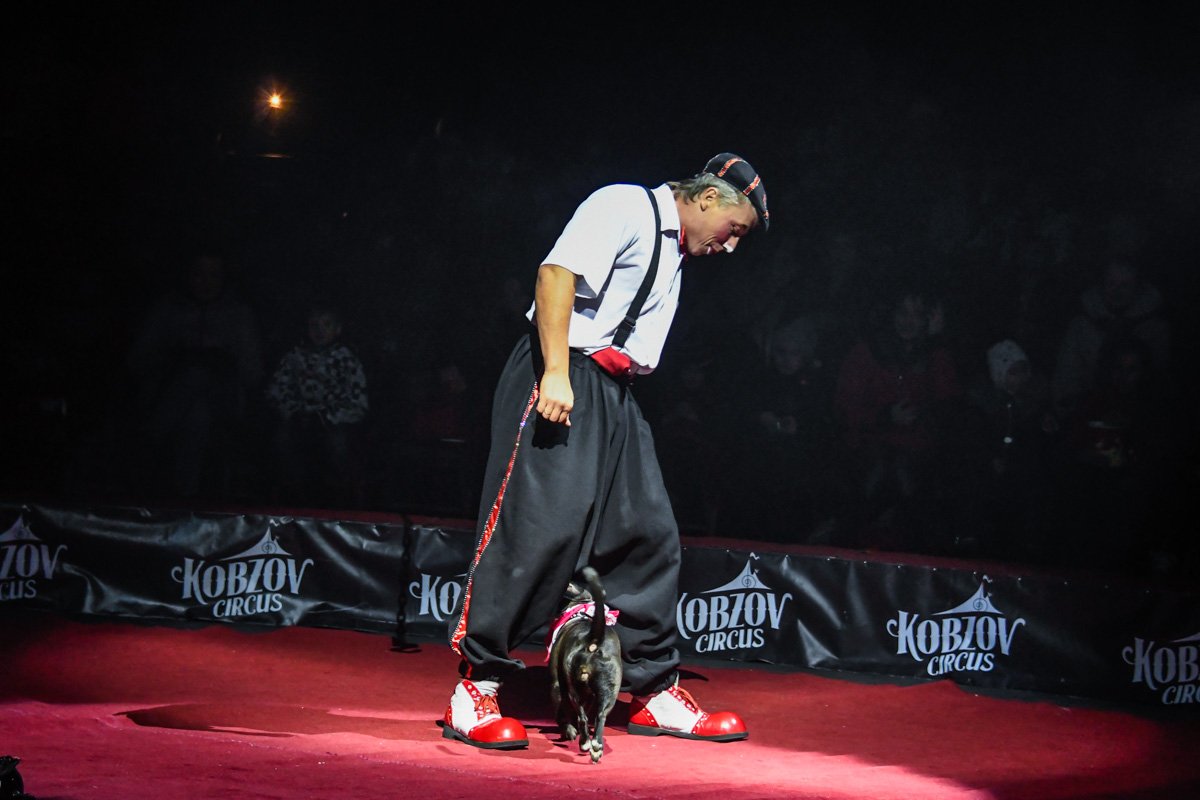 Забавный клоун Буба с Бусинкой веселили зрителей